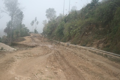 Trường học biến thành...  “vườn” rau - 4