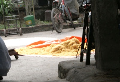 Kỳ 2: Thâm nhập những lò thực phẩm “siêu bẩn” - 1 Kỳ 2: Thâm nhập những lò thực phẩm “siêu bẩn” - 1