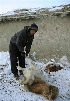 Chùm tin vắn qua ảnh - 5