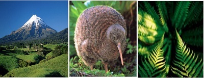 Sức hấp dẫn du học New Zealand - 1