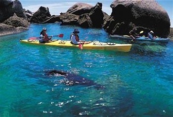 Sức hấp dẫn du học New Zealand - 3