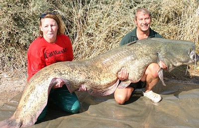 Người mù “vớ” con cá nặng gần 1 tạ - 2