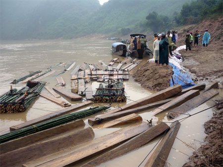 Mật phục bắt giữ gần 10m3 gỗ lậu vượt sông - 1