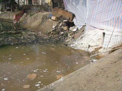 Thất kinh khi thăm làng mứt - 3