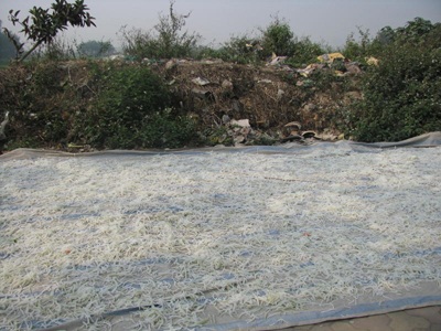 Thất kinh khi thăm làng mứt - 2