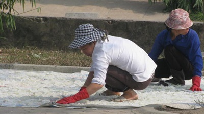 Thất kinh khi thăm làng mứt - 1