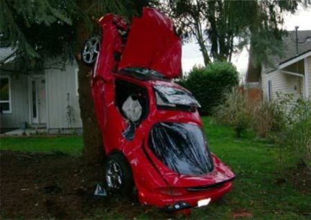 Những tai nạn kỳ quặc với xe hơi (2) - 12