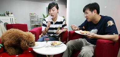 Trung Quốc ra luật cấm ăn thịt chó mèo - 1