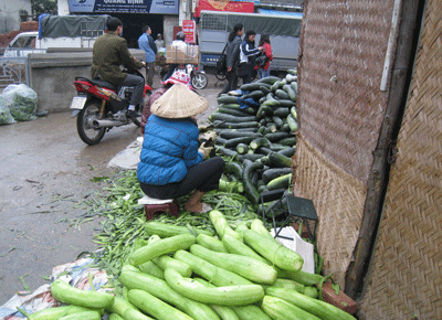 Nguyên liệu mứt Tết lăn lóc trên nền đất bẩn - 1