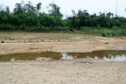 Cận cảnh một dòng sông lớn đang “thoi thóp” - 6