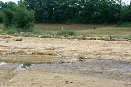 Cận cảnh một dòng sông lớn đang “thoi thóp” - 15