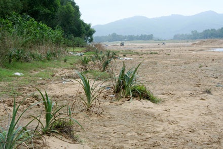 Cận cảnh một dòng sông lớn đang “thoi thóp” - 16