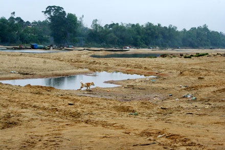 Cận cảnh một dòng sông lớn đang “thoi thóp” - 5