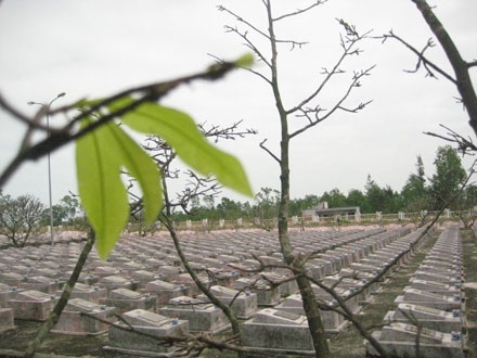 “Sửa nhà” cho liệt sĩ đón Tết - 1