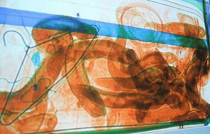 Những vụ cất giấu động vật sống kỳ quặc nhất - 7 Những vụ cất giấu động vật sống kỳ quặc nhất - 7