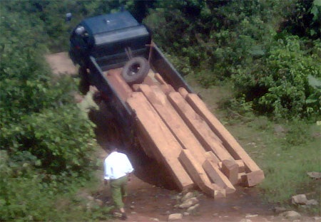 Liên tiếp phát hiện hai vụ vi phạm lâm sản - 1