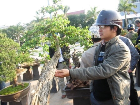 Thị trường Tết - “Nóng” dần từng vùng miền - 7