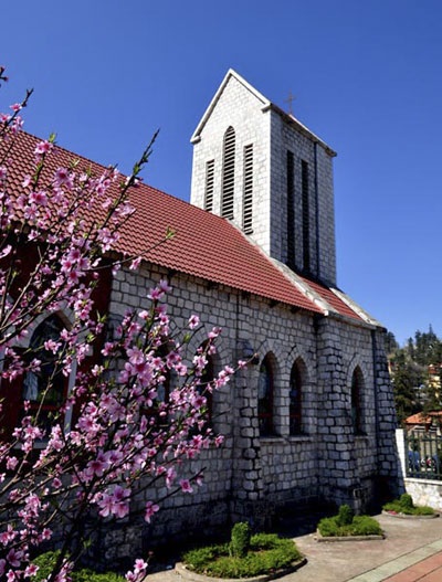 “Hút” mắt sắc màu đào phai Sa Pa - 7