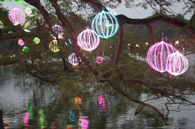 Treo đèn kết hoa mừng Đảng, mừng xuân - 9 Treo đèn kết hoa mừng Đảng, mừng xuân - 9