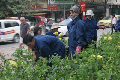 Treo đèn kết hoa mừng Đảng, mừng xuân - 1 Treo đèn kết hoa mừng Đảng, mừng xuân - 1