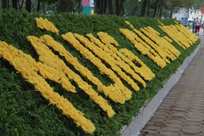 Treo đèn kết hoa mừng Đảng, mừng xuân - 5 Treo đèn kết hoa mừng Đảng, mừng xuân - 5