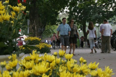 Treo đèn kết hoa mừng Đảng, mừng xuân - 6 Treo đèn kết hoa mừng Đảng, mừng xuân - 6