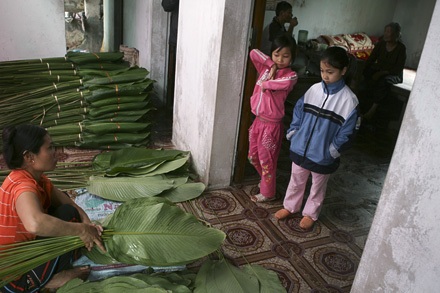 Một mai lá dong Tràng Cát... - 1