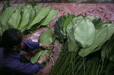 Một mai lá dong Tràng Cát... - 10