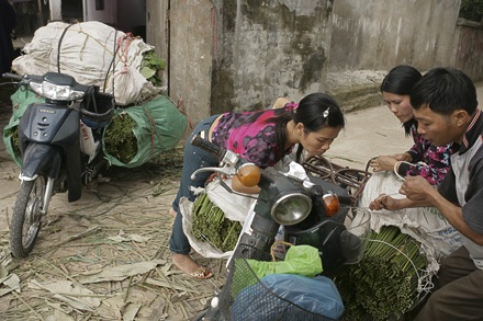 Một mai lá dong Tràng Cát... - 11