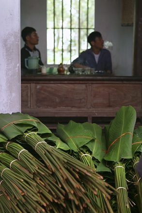 Một mai lá dong Tràng Cát... - 12