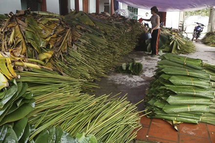 Một mai lá dong Tràng Cát... - 9