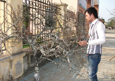 Nhộn nhịp sắc hoa Xuân - 8