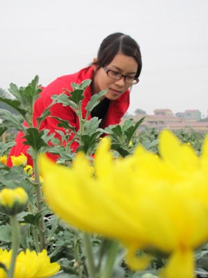 Hà Nội ngọt ngào sắc xuân sớm - 1