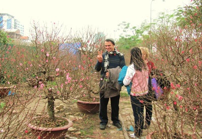 Hà Nội ngọt ngào sắc xuân sớm - 10