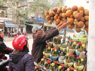 Hà Nội ngọt ngào sắc xuân sớm - 5