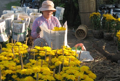 Rộn ràng không khí tết ở làng hoa Sa Đéc - 1 Rộn ràng không khí tết ở làng hoa Sa Đéc - 1