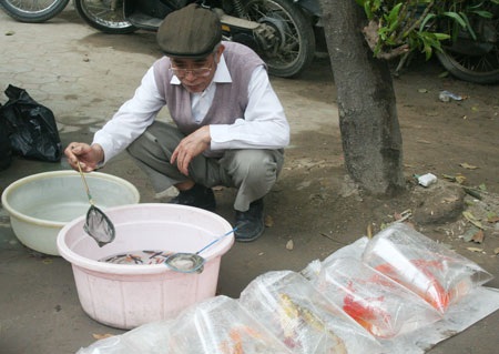 Người Hà Nội tấp nập sắm sửa Tết ông Công, ông Táo - 3 Người Hà Nội tấp nập sắm sửa Tết ông Công, ông Táo - 3
