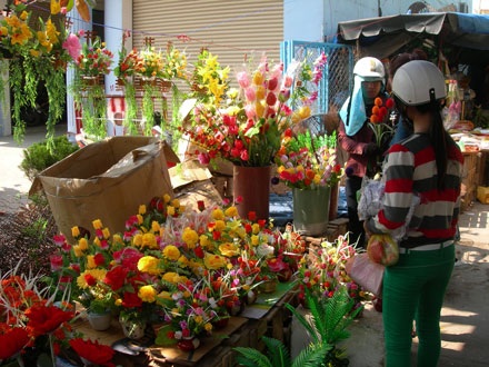 Nhộn nhịp sắc hoa Xuân - 11 Nhộn nhịp sắc hoa Xuân - 11