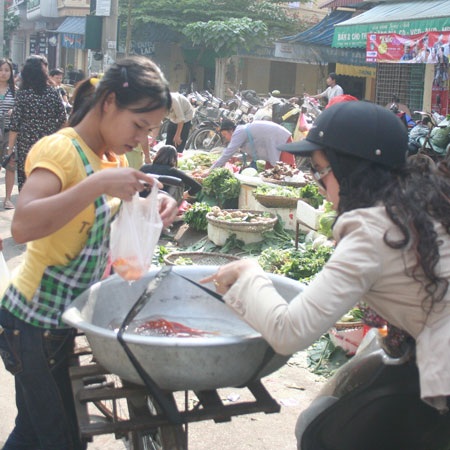 Cá chép cảnh “tiễn” Táo quân về trời - 3 Cá chép cảnh “tiễn” Táo quân về trời - 3