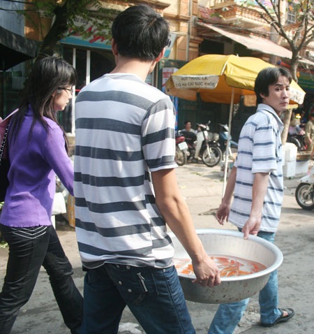 Cá chép cảnh “tiễn” Táo quân về trời - 6 Cá chép cảnh “tiễn” Táo quân về trời - 6