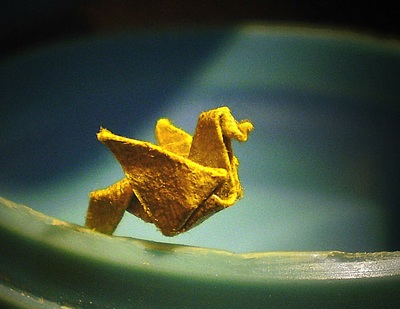 Ngắm hạc giấy trong kẽ tay - 6