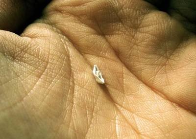 Ngắm hạc giấy trong kẽ tay - 2