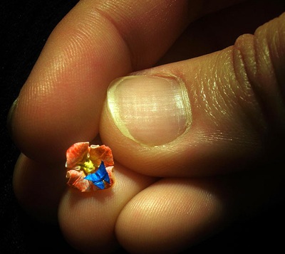 Ngắm hạc giấy trong kẽ tay - 9