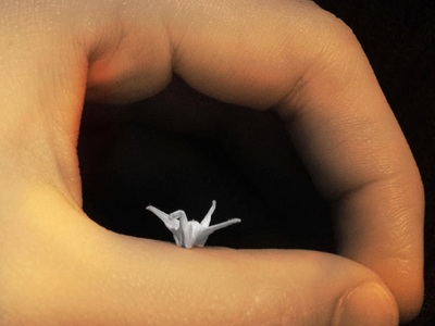 Ngắm hạc giấy trong kẽ tay - 10