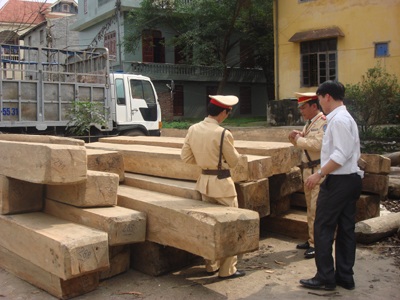 CSGT bắt giữ ô tô gỗ lậu - 1
