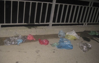 Sông hồ lại “no” rác sau Tết ông Táo - 8