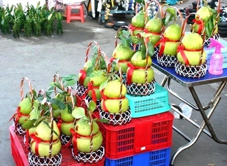 Mai dán tường, bưởi hồ lô... tràn phố - 4 Mai dán tường, bưởi hồ lô... tràn phố - 4