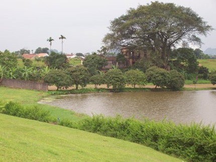 Tương lai Hà Nội xanh trong tay chủ nhân mới - 2