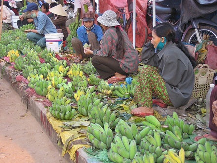 Não lòng vì chuối chín sớm - 3 Não lòng vì chuối chín sớm - 3