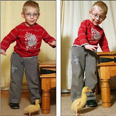 Đi lại được nhờ… vịt - 2 Đi lại được nhờ… vịt - 2